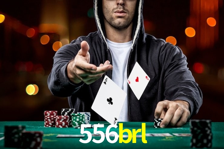 556brl App Interface